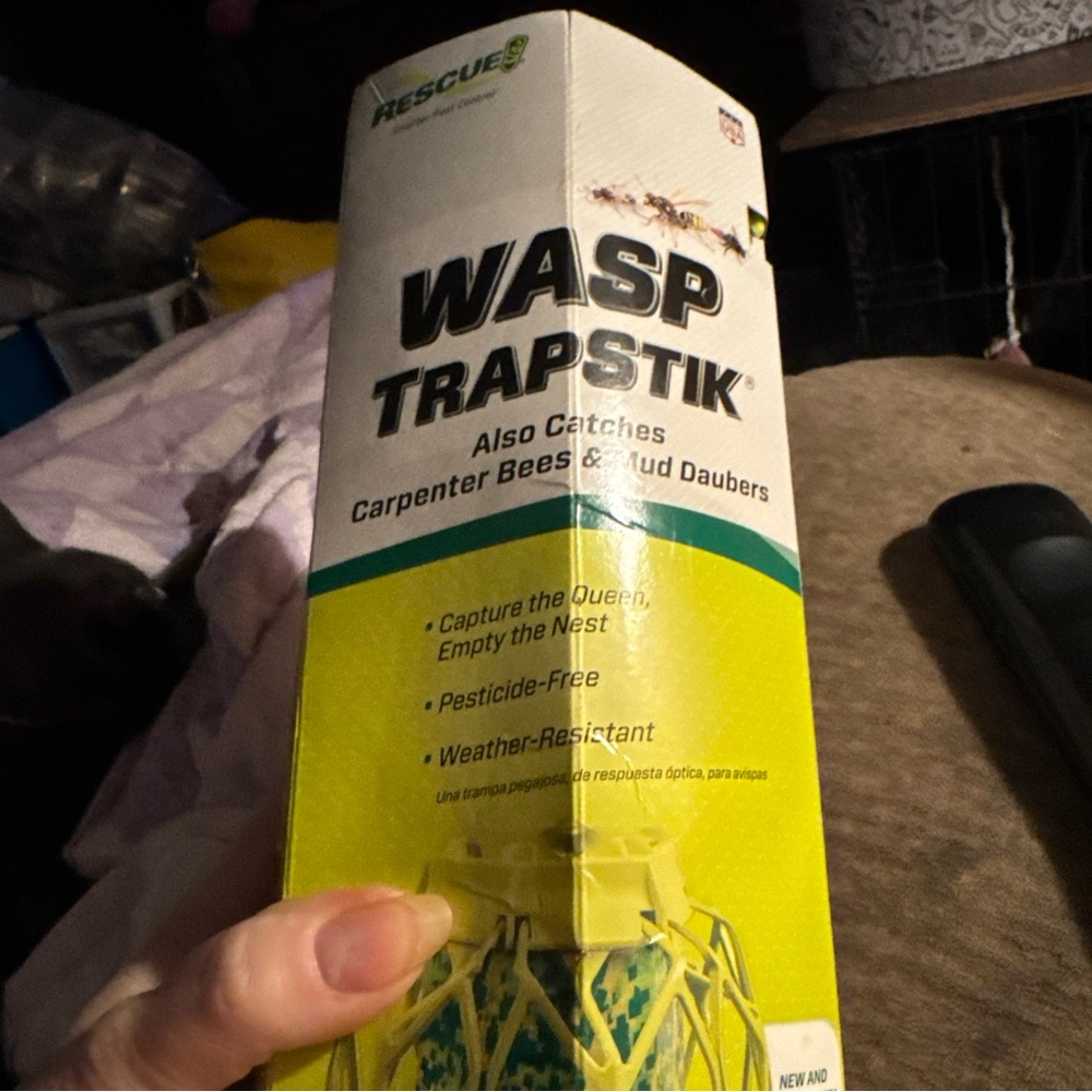 Wasp Trap